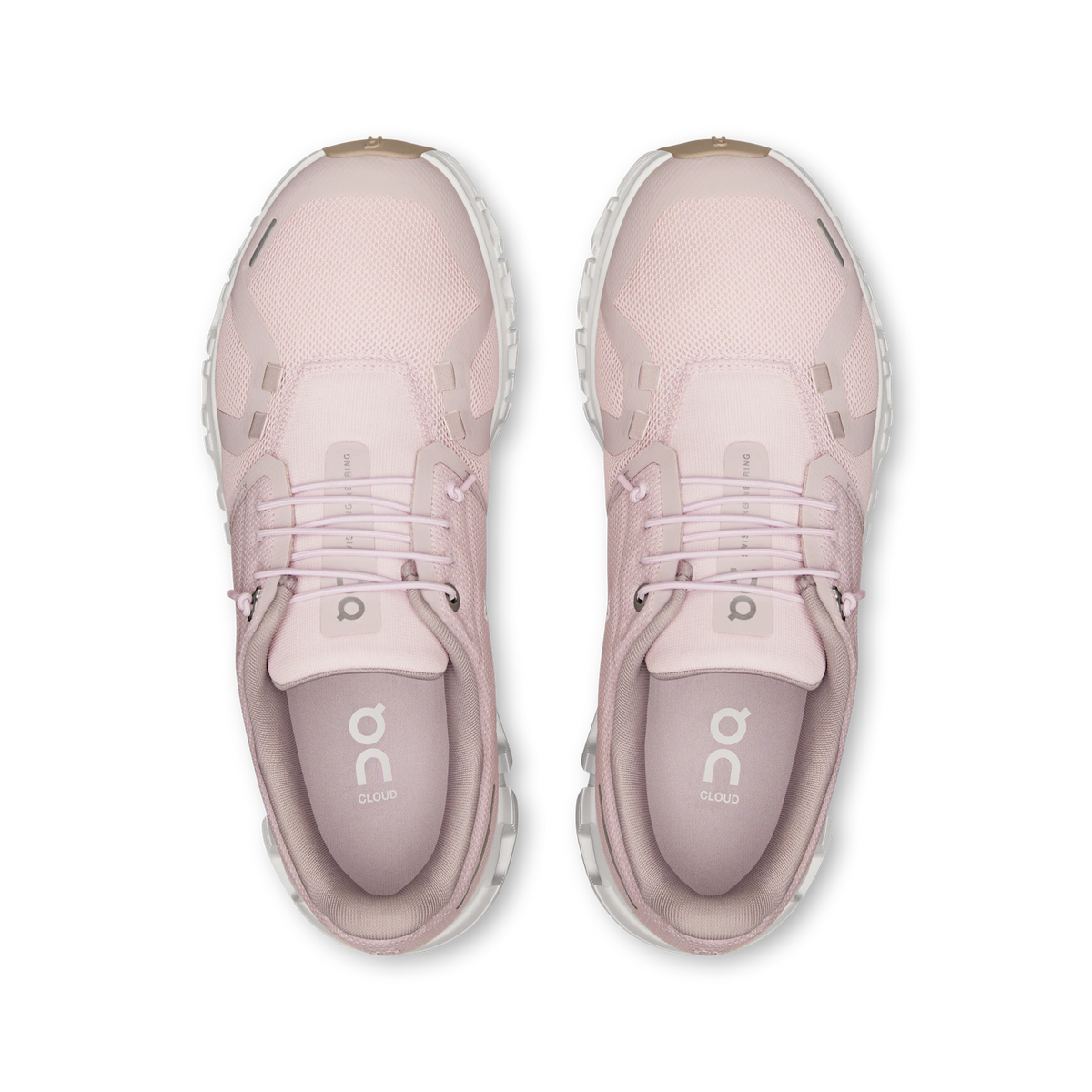 Cloud 6 – Orchid | Fade